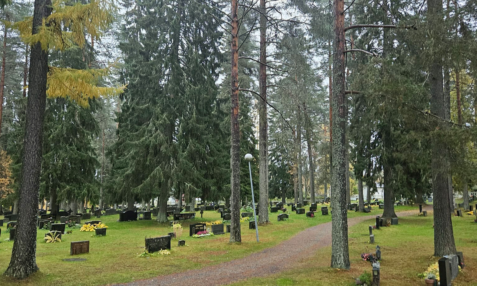Varpaisjärven hautausmaan hautakiviä, polkua ja puita, lumeton maa joulukuussa.